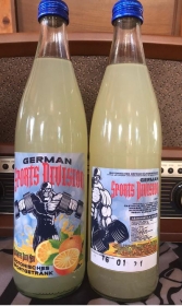 Isotonisches Erfrischungsgetränk - German Sport Division - 1 Kiste - 20 Flaschen - 21,98€ inkl. 3,10€ Pfand